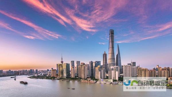 助力上海发展：打造专业高效的政府网站建设方案
