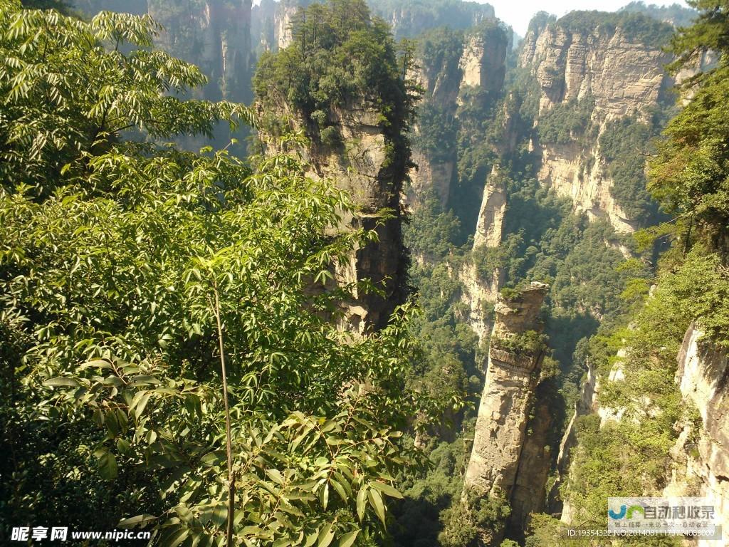 专业张家界网站建设，提升品牌形象，助力旅游经济腾飞！