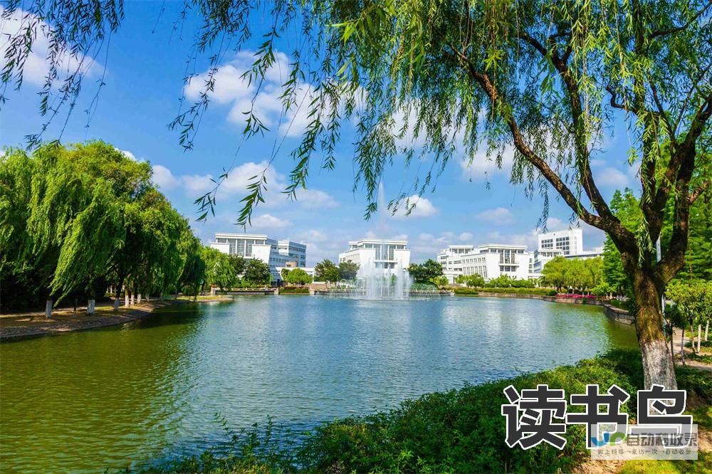 长沙专业网页设计公司：定制您的专属在线空间，引领数字化转型