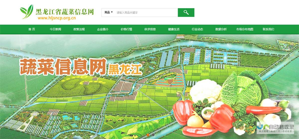 哈尔滨网站建设：打造您的专属线上品牌形象，引领哈尔滨市场！