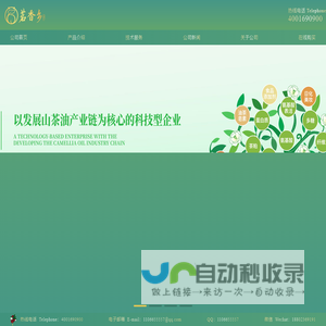 茗香乡-以发展山茶油产业链为核心的科技型企业-茗香乡茶油
